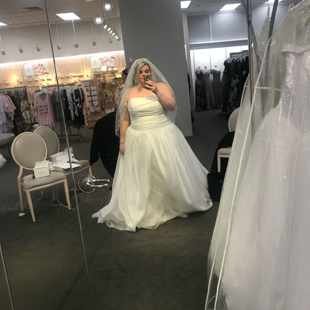 Plus Size Vera Wang Wedding Dress